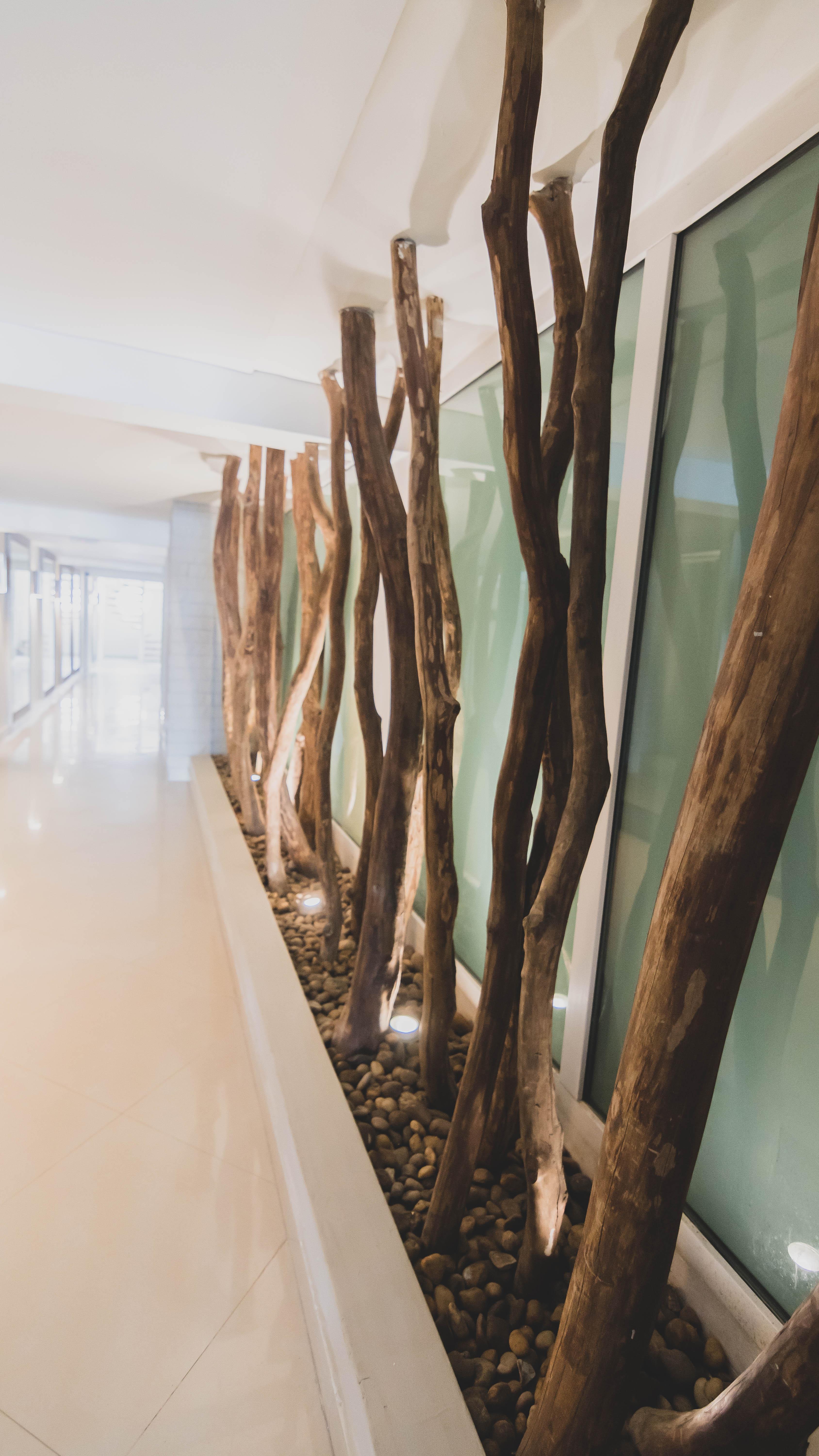 Hotel Santa Cecilia 3*